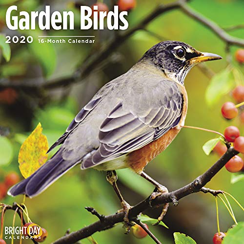 Product Cover 2020 Garden Birds Wall Calendar by Bright Day, 16 Month 12 x 12 Inch, Cute Small Tiny Animals