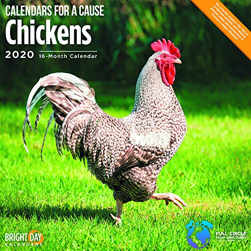 Product Cover 2020 Chickens Wall Calendar by Bright Day, 16 Month 12 x 12 Inch, for a Cause Collection