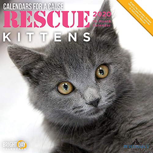 Product Cover 2020 Rescue Kittens Wall Calendar by Bright Day, 16 Month 12 x 12 Inch, Cute Cat Kitty Animals for a Cause Feline Calico Maine Coon Tuxedo