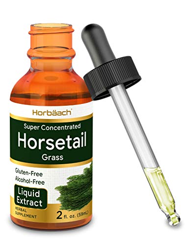 Product Cover Horsetail Herb Liquid Extract | Alcohol Free | 2 fl oz | Vegetarian, Non-GMO, Gluten Free Supplement | by Horbaach
