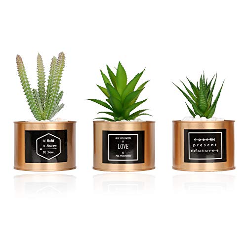 Product Cover VGIA Mini Artificial Succulent Plants Plastic Fake Green Cactus Potted in Special Golden Can Pot Design for Mordern Desktop Home Office Décor - Set of 3