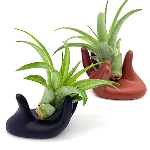 Product Cover 2 Pcs Small Clay Air Plant Stand Pot Art Hand Shape Holder Fuego Planter Lonantha Tillandsia Plant Display Racks, Live Tropical House Plants for Tabletop, Home Decor-Indoor Air Plants (Black&Red)