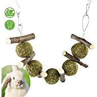 Product Cover PETLAOO Bunny Chew Toys for Teeth