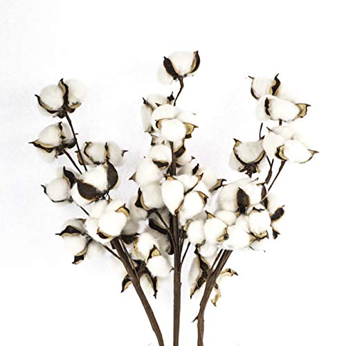 Product Cover Antea Decor Cotton Stems 6 Pack - Rustic Cotton Flowers - Perfect for Farmhouse Fall Decor - 10 Balls Per Stem - 21 Inches