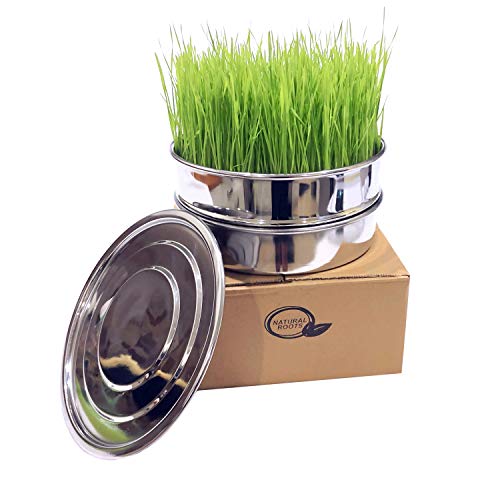 Product Cover Stainless Steel Seed Sprouting Tray Set-8 Inch 3 Piece Stackable Sprouter Kit, Growing Fresh Organic Broccoli Sprouts, Wheat Grass, Alfalfa Seeds, Fenugreek, Mung Beans and More (Seeds not Included)