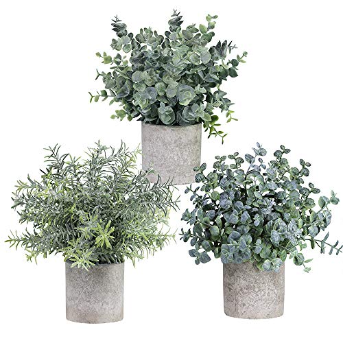 Product Cover Winlyn Set of 3 Mini Potted Artificial Eucalyptus Plants Plastic Fake Green Rosemary Plant for Home Decor Office Desk Shower Room Decoration