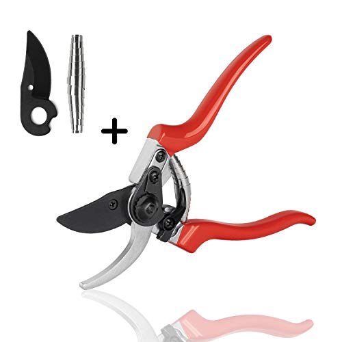 Product Cover Lakaw Professional Stainless Steel Bypass Pruning Shears (LK-03041)，Garden Shears，Hand Pruners，Garden Clippers.（Red