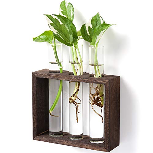 Product Cover Mkono Wall Hanging Glass Planter Propagation Station Modern Flower Bud Vase in Vintage Wood Stand Rack with 3 Test Tube Tabletop Terrarium for Propagating Hydroponics Plants, Home Office Decoration