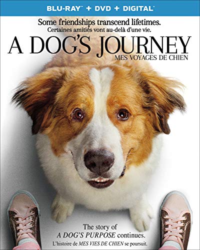 Product Cover A Dog's Journey [Blu-ray + DVD + Digital] (Sous-titres français)