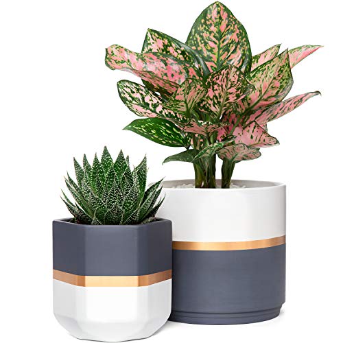 Product Cover Mkono Ceramic Planters 5 and 6.3 Inch Indoor Modern Flower Plant Pot Set of 2 Geometric Gardening Pots with Drainage for All House Plants, Herbs, Flowers, Gold and Grey Detailing (Plants NOT Included)