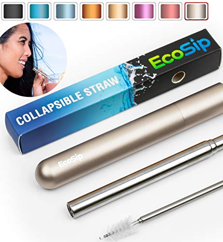 Product Cover Collapsible Straw EcoSip | Telescopic Drinking Straw | Metal Stainless Steel Reusable | Portable Final Eco Folding Straws Travel | Silver Cleaning Brush Key Ring Hard Case | Silicone Tip | (Gray)