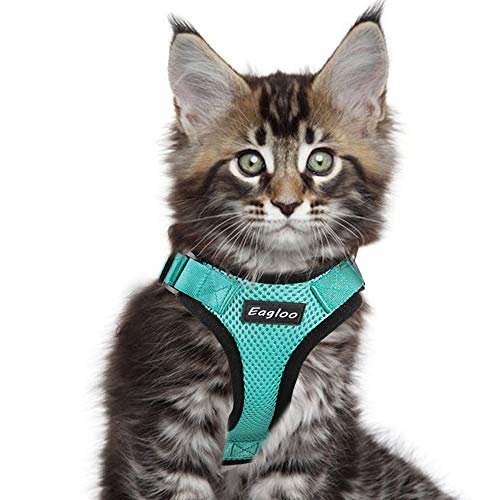 Product Cover Eagloo Cat Harness Escape Proof Small Cat and Dog Harness Soft Mesh Harness Adjustable Cat Vest Harness with Reflective Strap Metal Clip Cat Walking Jacket Comfort Fit for Kitten Puppy Green Small