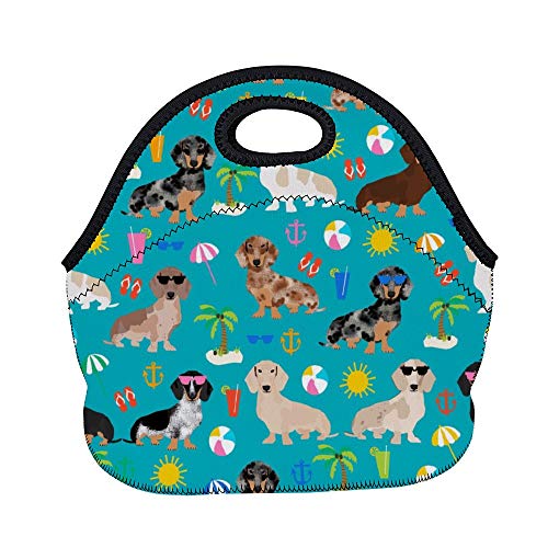 Product Cover Fashion.Reborn LunchBags BEACH DAY Ideal Gifts - Insulated Lunch Bag Dachshund Dog Bento Lunch Bag Thermal Cooler Lunch Pouch with Portable Carrying Bag for Men & Women & Kids & Girls & Boys