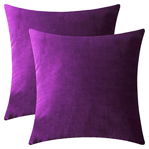Product Cover DEZENE Throw Pillow Covers, 2 Pack Super Soft Velvet Decorative Pillow Cases, Luxury Accent Rectangular Pillowcases, Square Cushion Covers for Farmhouse,Couch,Sofa, 18 x 18 Inch, Purple