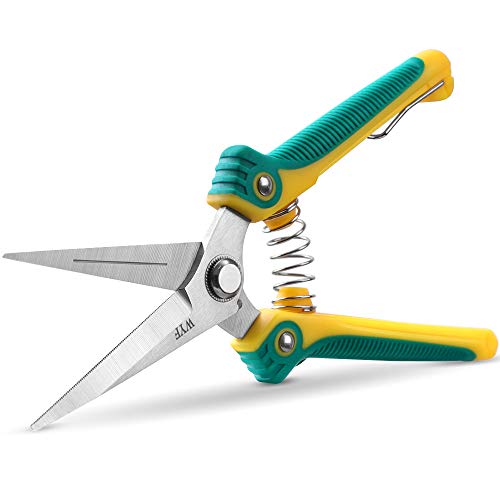 Product Cover WYF 8.1″Gardening Hand Pruner Pruning Shear with Straight Stainless Steel Blades, Ultra Sharp Garden Scissors for Flowers, Harvesting Fruits & Vegetables,Trimming Plants (Green)