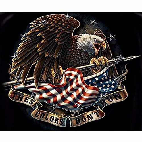 Product Cover DIY 5D Diamond Painting Kits for Adults Full Drill Embroidery Paintings Rhinestone Pasted DIY Painting Cross Stitch Arts Crafts for Home Wall Decor 30x40cm/11.8×15.7Inches (Eagle American Flag)
