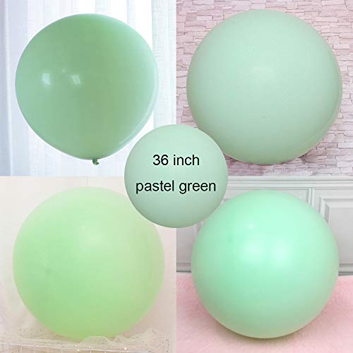 Product Cover 36 inch Pastel Balloons for Parties 5 pcs Macaron Latex Balloons for Birthday Wedding Engagement Anniversary Christmas Festival Picnic or any Friends & Family Party Decorations-pastel green