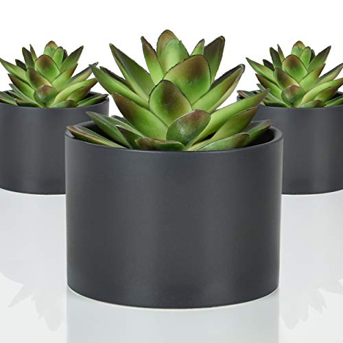 Product Cover SEEKO Succulents - 3 Pack - Potted Artificial Succulent Plants - Modern Desk Decor for The Home or Office
