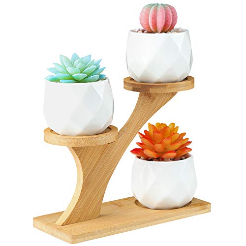 Product Cover OUSHINAN Mini White Ceramic Owl Garden Pots Decorative Nursery Succulent Planters with 3- Tier Bamboo Tray for Room Decor (Modern Geometric Ceramic Pots)