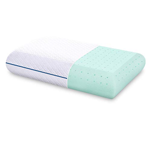 Product Cover DOYEE Memory Foam Pillow, Comfort Cooling Gel Bed Pillows for Sleeping with Washable Removable Cover Good for Back and Side Sleepers - Standard Size, 16 x 26 Pillow Insert