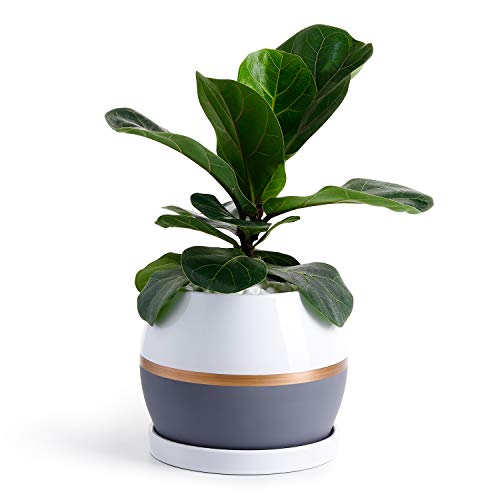 Product Cover POTEY Ceramic Planter Flower Plant Pot - 5.1
