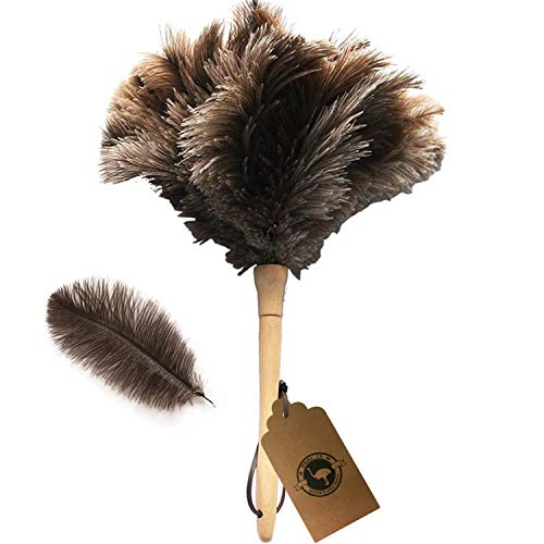 Product Cover Ostrich Feather Duster,Feather Duster Fluffy Natural Genuine Ostrich Feathers with Wooden Handle and Eco-Friendly Reusable Handheld Ostrich Feather Duster Cleaning Supplies, Gray and Brown(Length 16