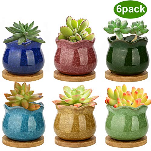 Product Cover Succulent Pots, ZOUTOG 3.9 inch Ceramic Ice Crack Flower Planters, Colorful Plant Pot with Bamboo Trays, Pack of 6 (Plants Not Included)