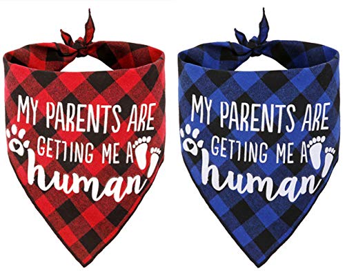 Product Cover JPB My Parents are Getting me a Human,2 Pack Gender Reveal Dog Bandana