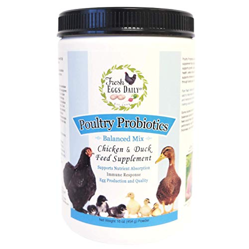 Product Cover Fresh Eggs Daily Poultry Probiotics Chicken and Duck Feed Supplement 1LB