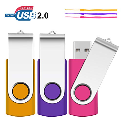 Product Cover 4GB USB Flash Drive, SRVR 3 Pack USB 2.0 Flash Drive Metal Swivel USB Memory Stick with LED Indicator, Fold Storage Thumb Drives Jump Drive with Lanyards (3 Mixed Color)