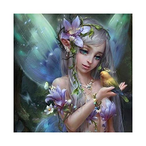 Product Cover DIY 5D Diamond Painting,by Number Kits Crafts & Sewing Cross Stitch，Wall Stickers for Christmas Living Room Decoration,Elf Little Fairy Diamond Painting (12x12inch)