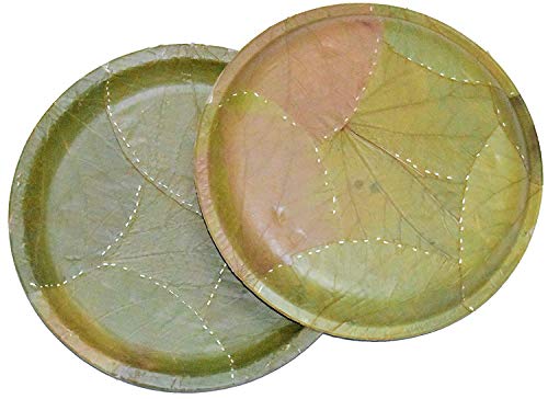Product Cover SWHF 100% Bio-degradable Disposable SAL Leaf Plates- 10.25