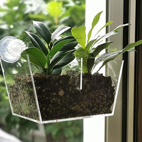 Product Cover NIUXX Acrylic Window Planter Boxes, Creative Flower Pot Holder Plant Tray Shelf with Suction Cup, Great Outdoor Indoor Decorative Gift for Home (Medium Size with 2 Compartments)