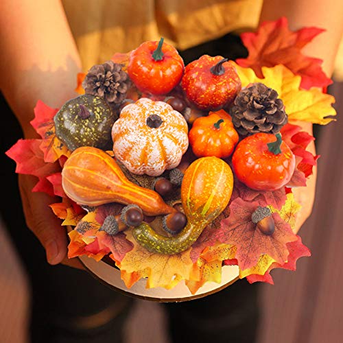 Product Cover DomeStar Halloween Mini Artificial Pumpkins and Gourds Maple Leaves Pine Cones Acorns