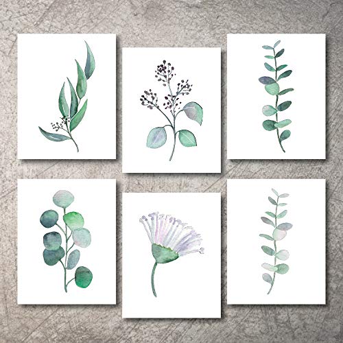 Product Cover Botanical Prints Wall Decor - Kitchen Art Eucalyptus Leaves Set UNFRAMED Pictures 6 PIECES Nature Floral Plant Flower Green Small Botanical Prints Wall Art Vintage Print looking Poster (5x7)