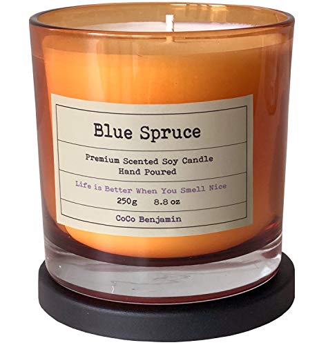 Product Cover CoCo Benjamin (Blue Spruce) Soy Candle, 8.8 oz, Highly Scented, Hand Poured