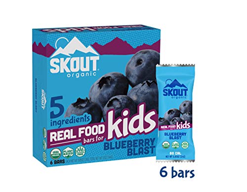 Product Cover SKOUT Organic Real Food Bars for Kids - Blueberry Blast - Vegan Snacks - Plant Based Bars - Non-GMO - Gluten Free, Dairy Free, Soy Free - No Refined Sugar - 0.85 oz (6 Count)