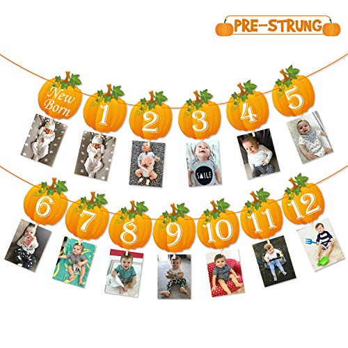 Product Cover Pumpkin 1st Birthday Photo Banner Newborn to 12 Month Display Milestone Pumpkin Theme First Year Baby Banner Fall Party Photo Booth Props Cake Smash Party Decorations Supplies