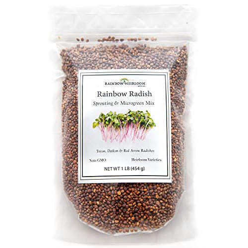 Product Cover Rainbow Radish Sprouting Seeds Mix | Heirloom Non-GMO Seeds for Sprouting & Microgreens | Contains Red Arrow, Purple Triton & White Daikon Radish Seeds 1 lb Resealable Bag | Rainbow Heirloom Seed Co.