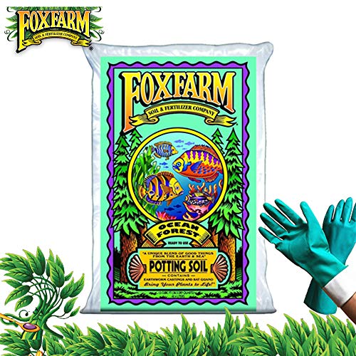 Product Cover FoxFarm Ocean Forest Potting Soil Organic Mix Indoor Outdoor For Garden And Plants - Organic Plant Fertilizer - 38.5 Quart (1.5 cu ft). - (Bundled with Pearsons Protective Gloves) (1 Pack)