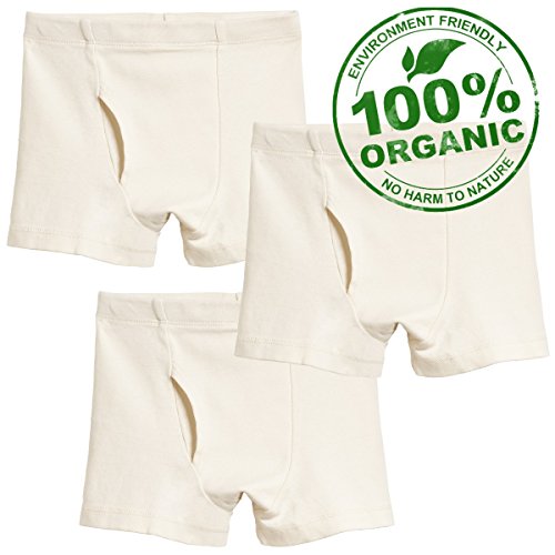 Product Cover City Threads Boys' Boxer Briefs 3 Pack Underwear in 100% Organic Cotton Made in USA