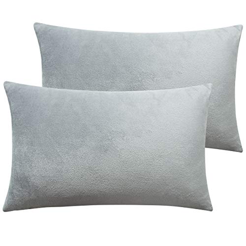 Product Cover NTBAY Zippered Velvet Queen Pillowcases, 2 Pack Super Soft and Cozy Luxury Solid Color Pillow Cases, 20 x 30 Inches, Light Grey