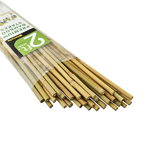 Product Cover Mininfa Natural Bamboo Stakes 2 Feet, Eco-Friendly Garden Stakes, Plant Stakes Supports Climbing for Tomatoes, Trees, Beans, 30 Pack