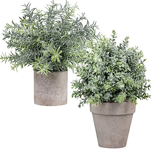 Product Cover Winlyn Set of 2 Mini Potted Artificial Plastic Plants Boxwood Topiary Shrubs Fake Green Rosemary Plant for Home Decor Office Desk Shower Room Decoration