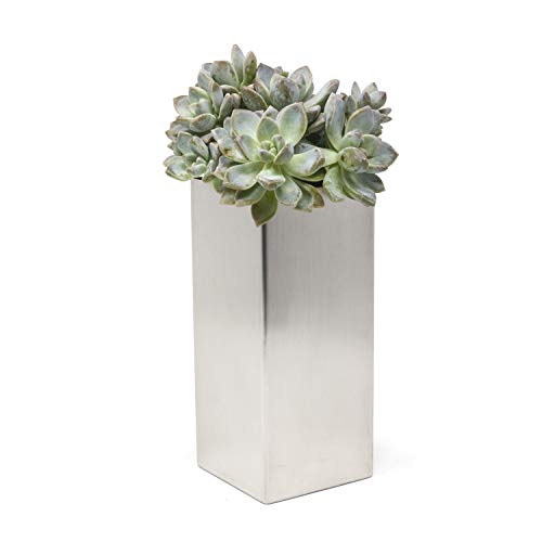 Product Cover Buhbo Modern Square Vase Planter 3.5