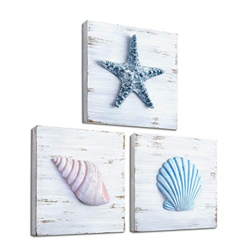 Product Cover TideAndTales Beach Theme Seashell Wall Decor (Set of 3) | Shells and Starfish Beach Decor for Bathroom, Bedroom or Living Room | Rustic Coastal Decor | Beach Decorations for Home | Beach Wall Art
