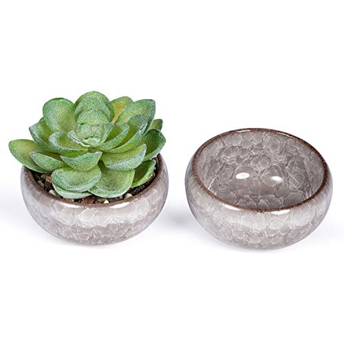 Product Cover LICY 2 Mini Succulent Pots White Ice Cracked Thumb Ceramic Flower Pot Cactus Container Planter 2.5 Inch (Plants Not Included)