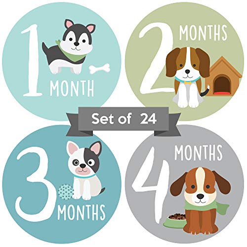 Product Cover Baby Monthly Stickers Boy or Girl | Baby Milestone Stickers Boy | Gender Neutral Baby Milestone Stickers | Unisex Stickers for Baby | Animal Newborn Stickers | Dog Newborn Month Stickers (Set of 24)