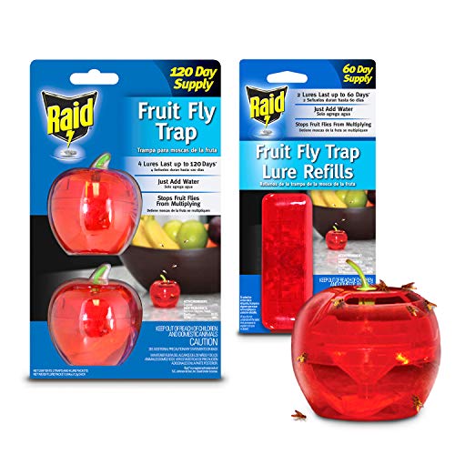 Product Cover Raid Fruit Fly Trap (2-Pack) + Refill Bundle, 180-day Supply of Fruit Fly Traps, Plastic Fruit Fly Catcher, Reusable Gnat Trap, Non Toxic Insect Killer Traps w/Bonus Food-Based Fruit Fly Lure Refills