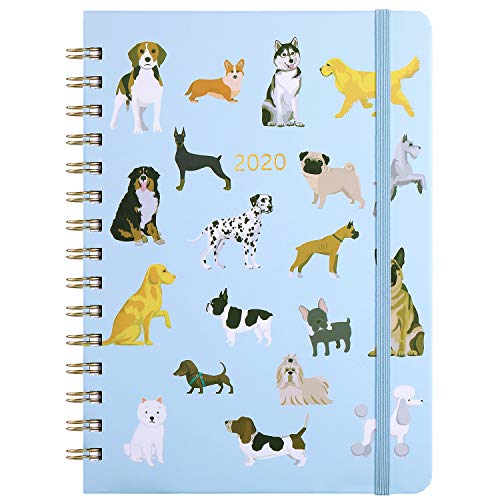 Product Cover 2020 Planner - Weekly & Monthly Planner with Tabs, 6.5